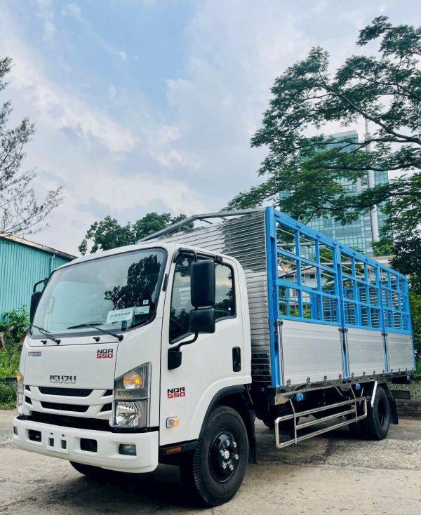 0cf8ade25e81eedfb7901