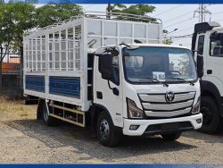 Foton aumark s50 mui bạt