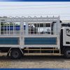Foton aumark s50 mui bạt